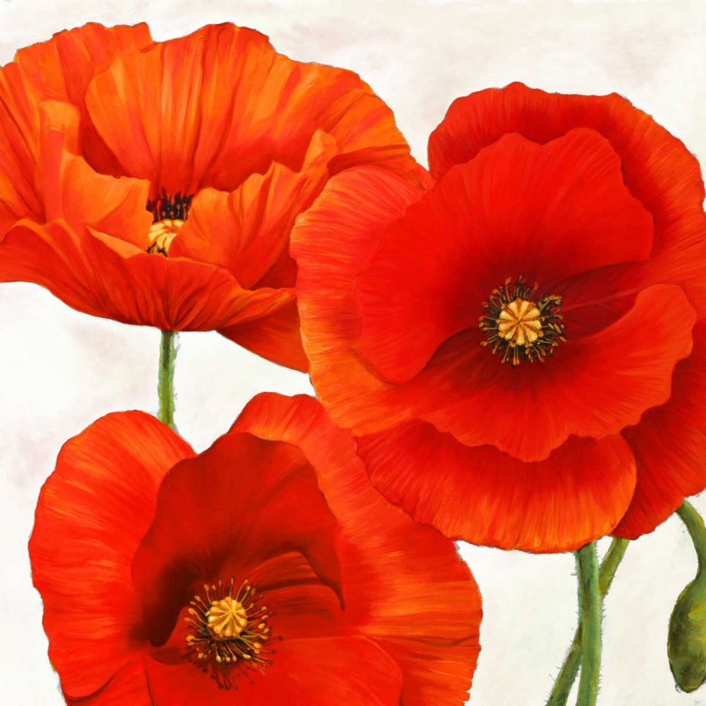 Poppies I art print by Luca Villa for $57.95 CAD