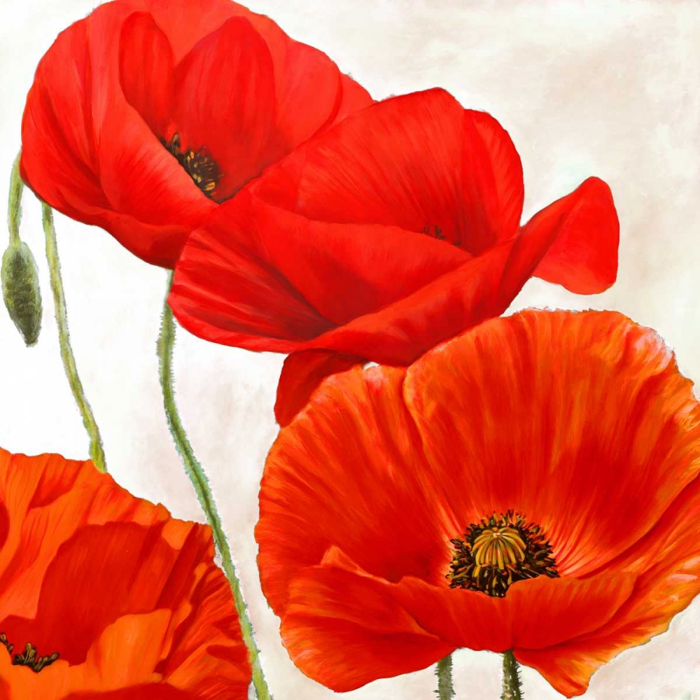 Poppies II art print by Luca Villa for $57.95 CAD