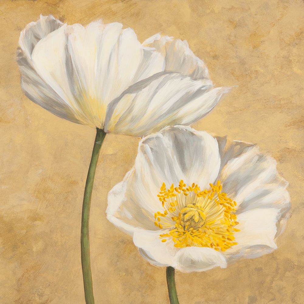 Poppies on Gold II art print by Luca Villa for $57.95 CAD