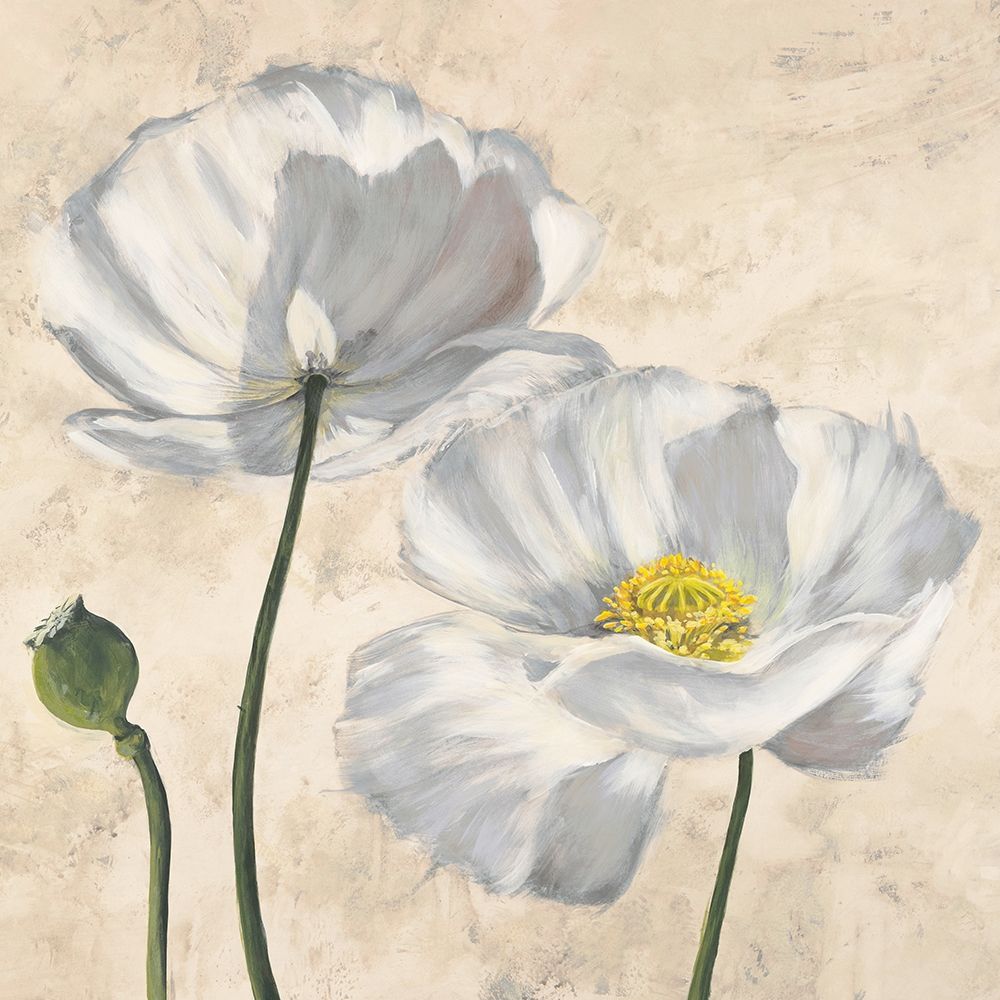 Poppies in White I art print by Luca Villa for $57.95 CAD