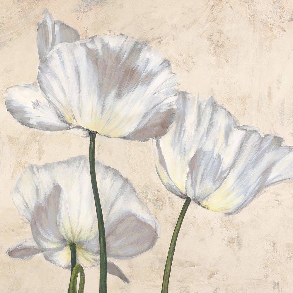 Poppies in White II art print by Luca Villa for $57.95 CAD