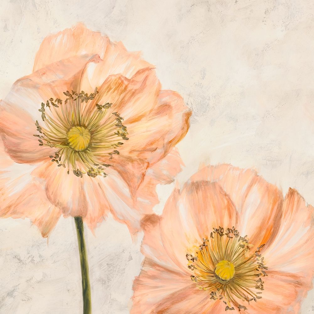 Poppies in Pink I art print by Luca Villa for $57.95 CAD