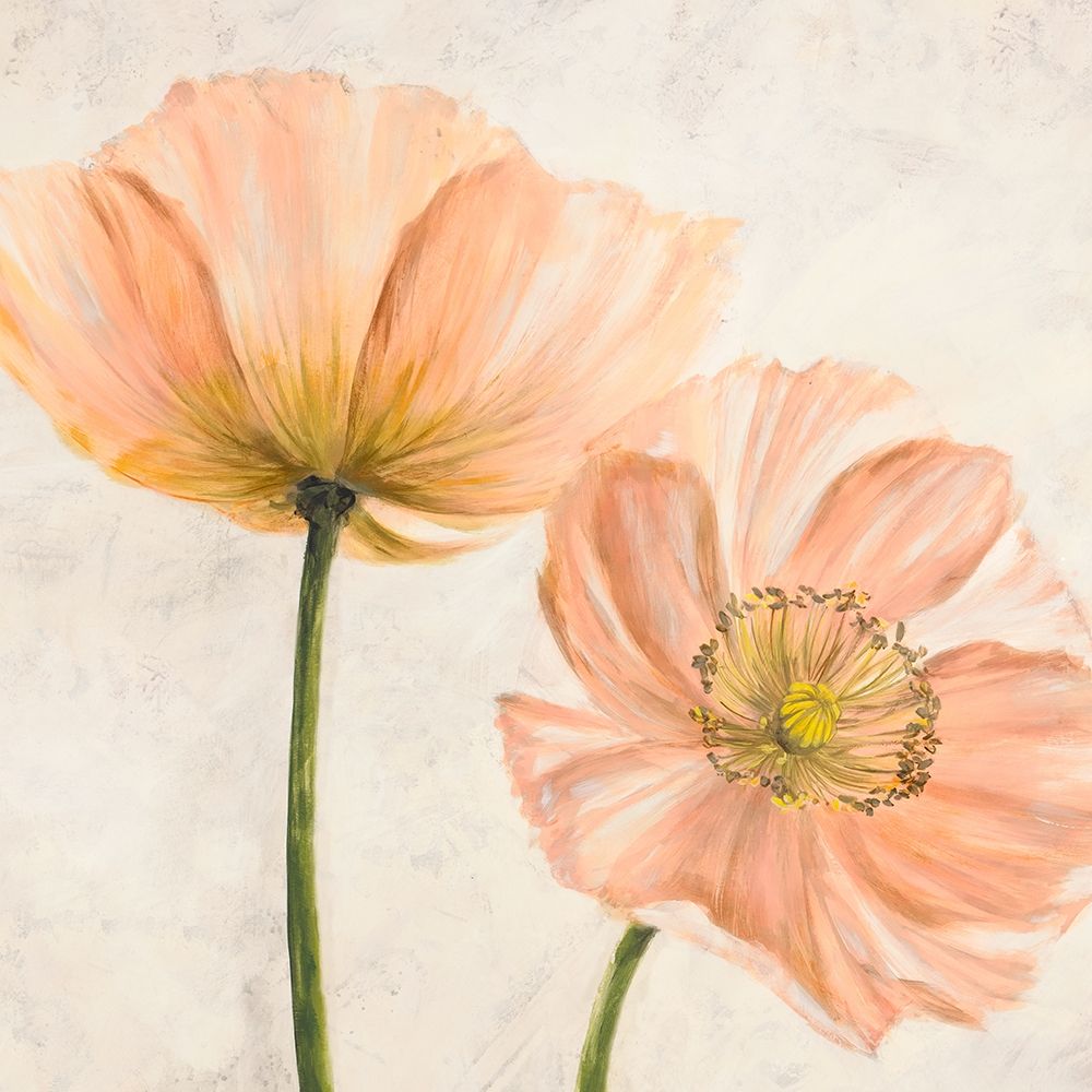 Poppies in Pink II art print by Luca Villa for $57.95 CAD