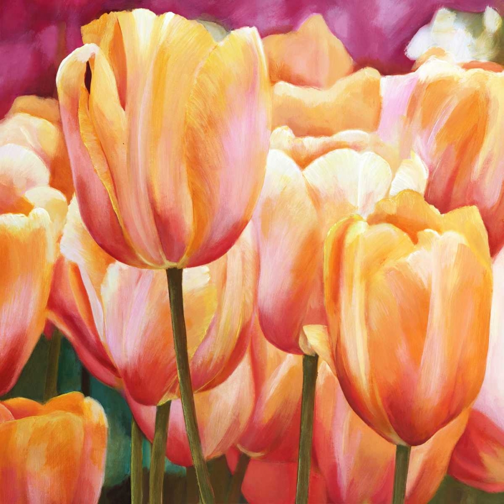 Spring Tulips I art print by Luca Villa for $57.95 CAD