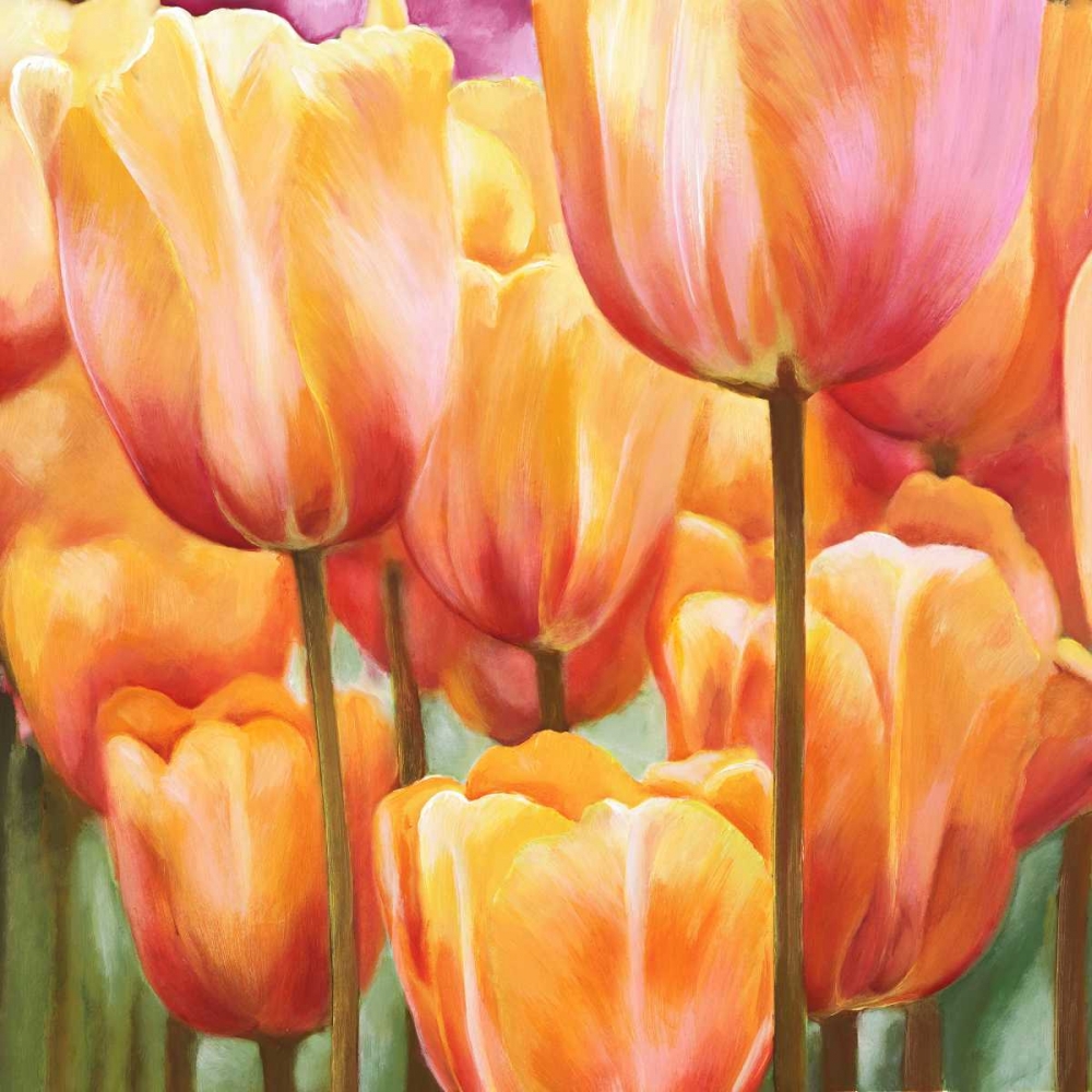 Spring Tulips II art print by Luca Villa for $57.95 CAD