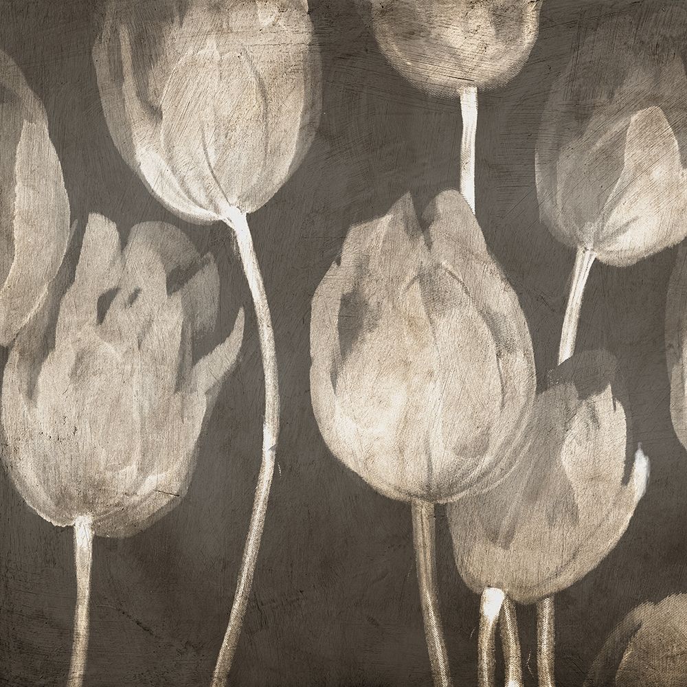 Washed Tulips I art print by Luca Villa for $57.95 CAD