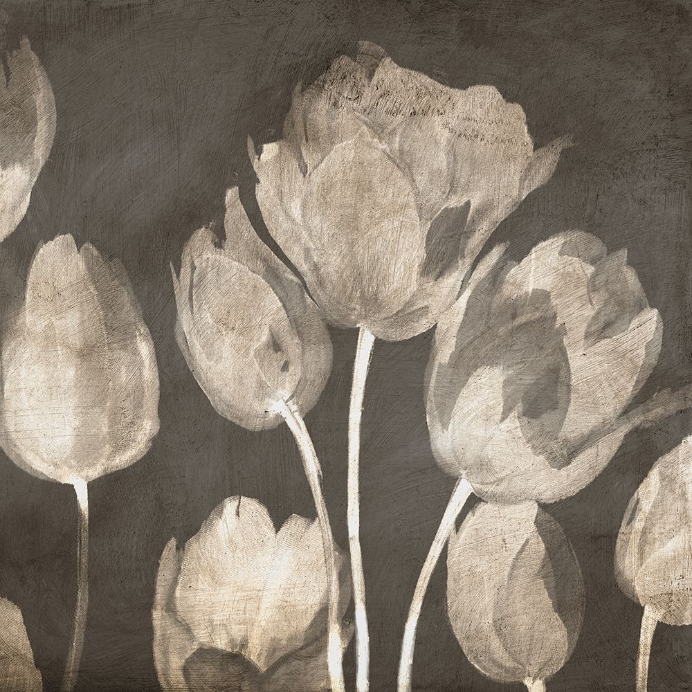 Washed Tulips II art print by Luca Villa for $57.95 CAD
