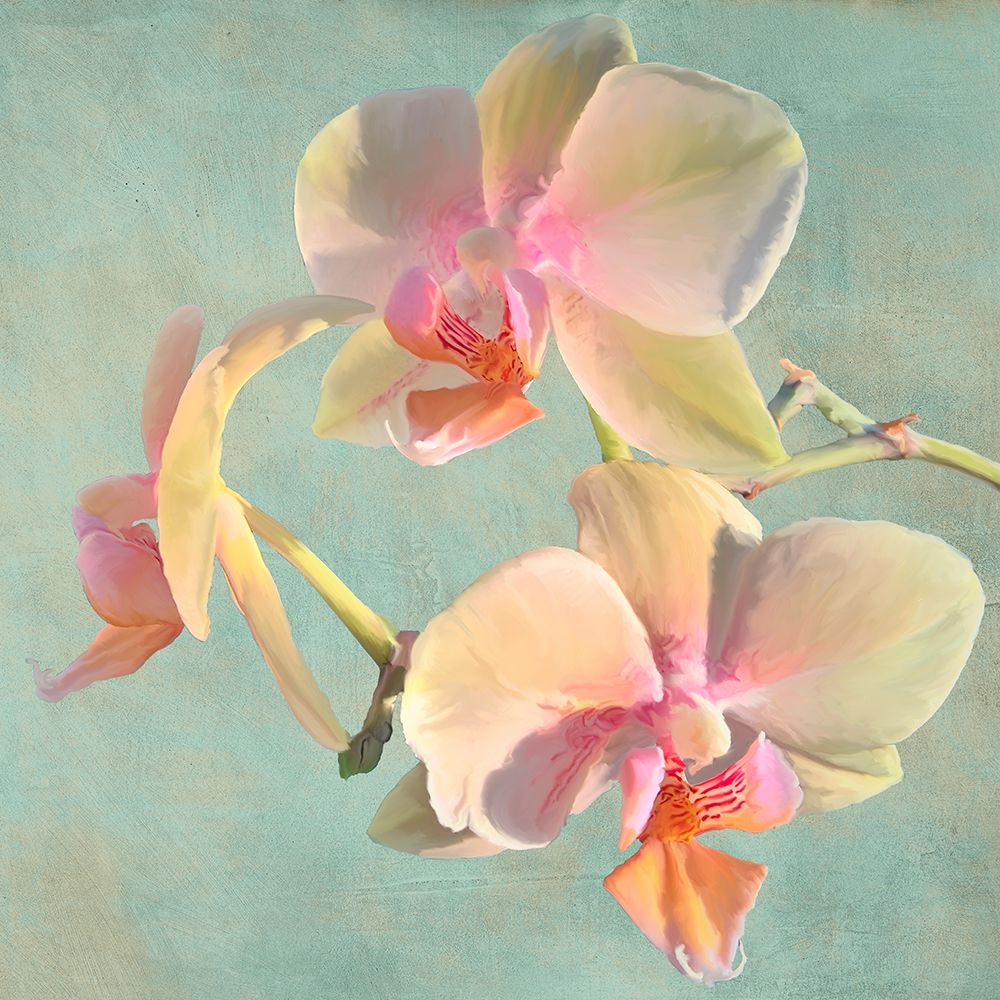 Jewel Orchids I art print by Luca Villa for $57.95 CAD