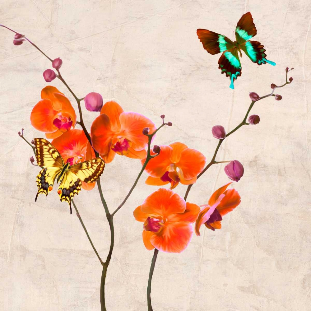 Orchids and Butterflies I art print by Teo Rizzardi for $57.95 CAD