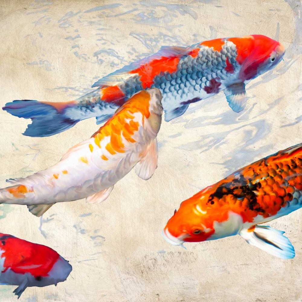 Koi II art print by Teo Rizzardi for $57.95 CAD