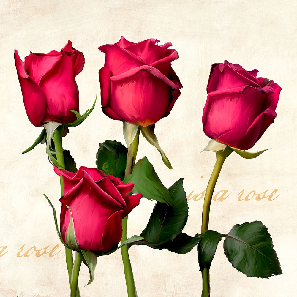 A Rose is a Rose (detail) art print by Teo Rizzardi for $57.95 CAD