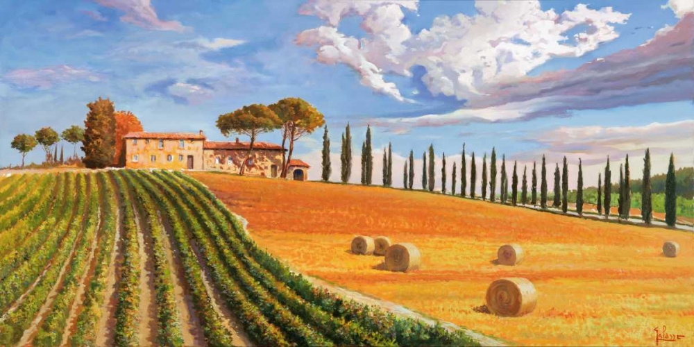 Colline toscane art print by Adriano Galasso for $57.95 CAD