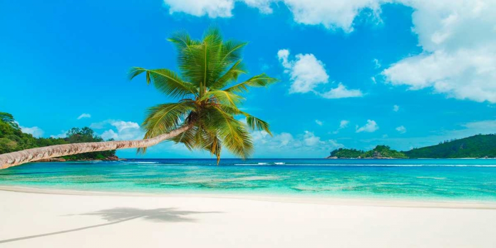 Tropical beach, Seychelles art print by Anonymous for $57.95 CAD