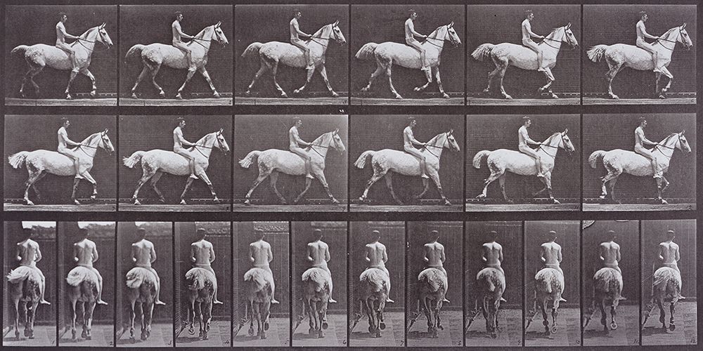 Animal Locomotion art print by Eadweard Muybridge for $57.95 CAD