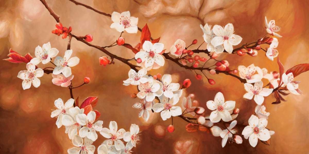 Sakura art print by Jenny Thomlinson for $57.95 CAD