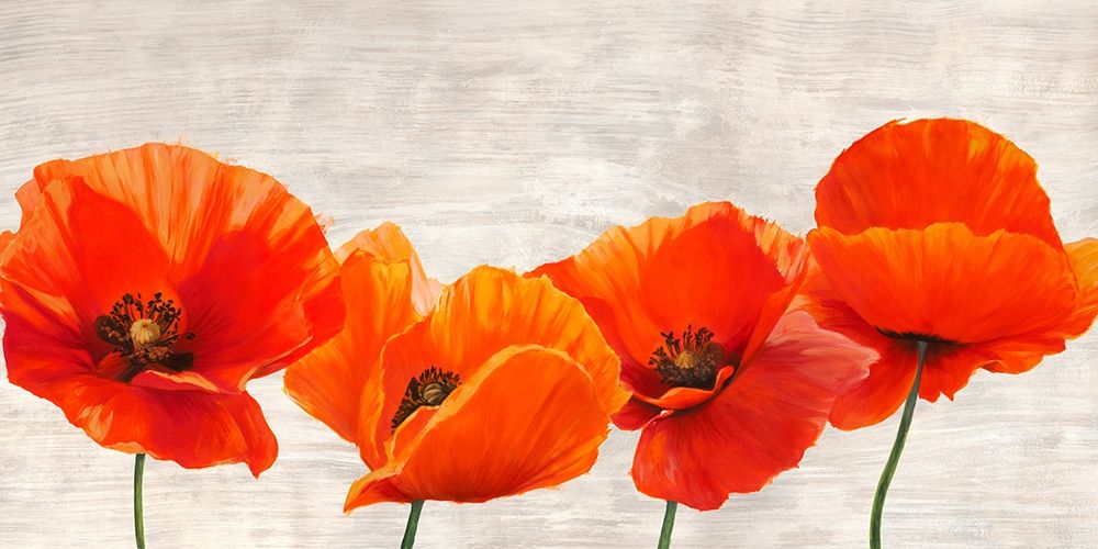 Bright Poppies art print by Jenny Thomlinson for $57.95 CAD