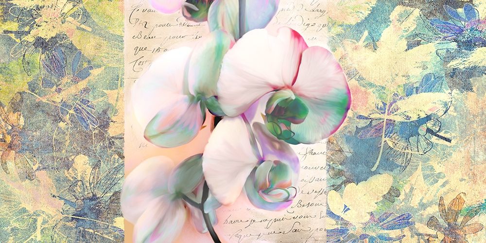 Kaleidoscope Orchid art print by Kelly Parr for $57.95 CAD