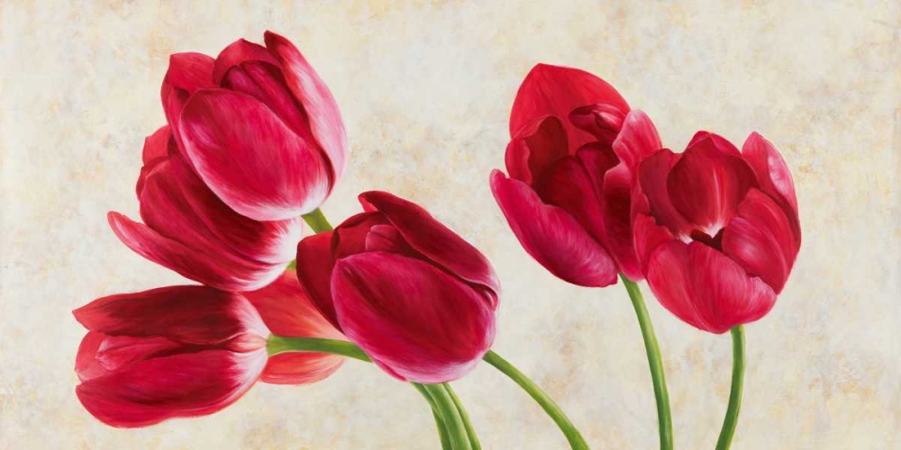 Tulip concerto art print by Luca Villa for $57.95 CAD