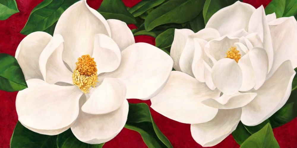 Magnolie in fiore art print by Luca Villa for $57.95 CAD