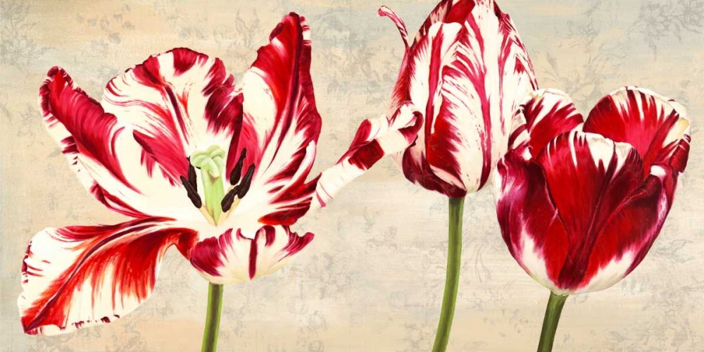 Tulipes Royales art print by Luca Villa for $57.95 CAD