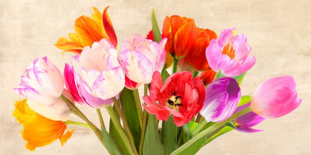 Tulips in Spring art print by Luca Villa for $57.95 CAD