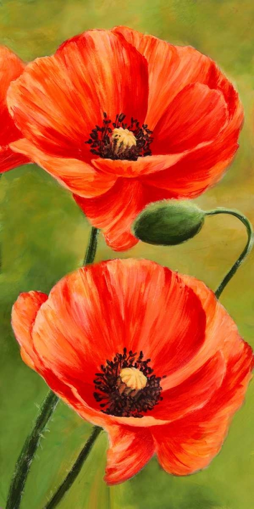 Poppies in the wind II art print by Luca Villa for $57.95 CAD