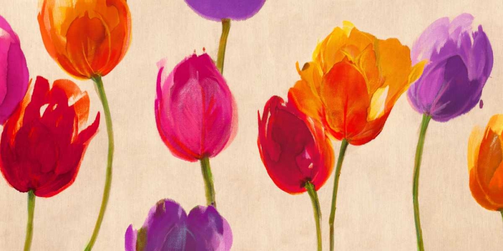 Tulips and Colors art print by Luca Villa for $57.95 CAD