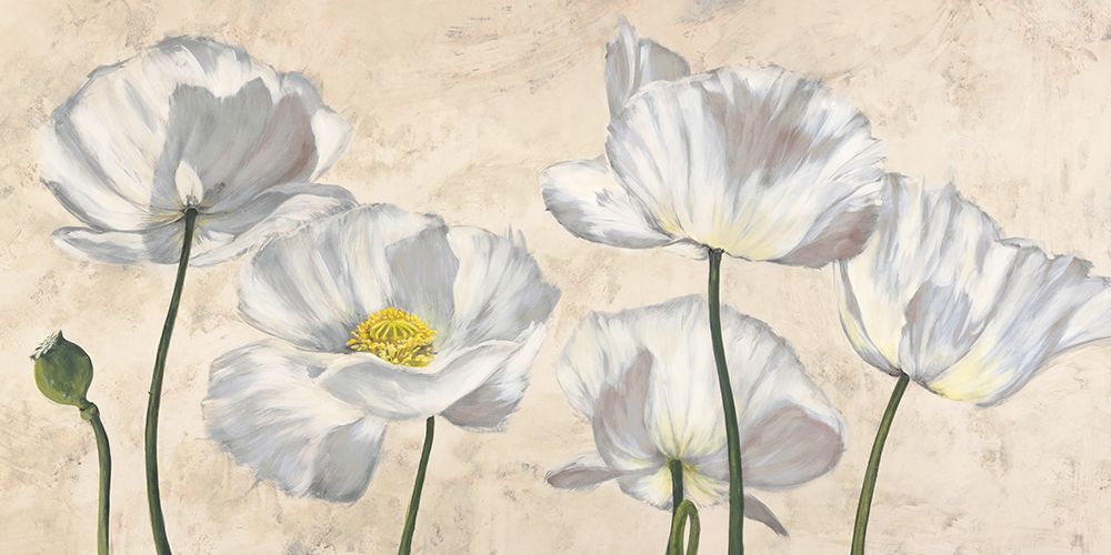 Poppies in White art print by Luca Villa for $57.95 CAD