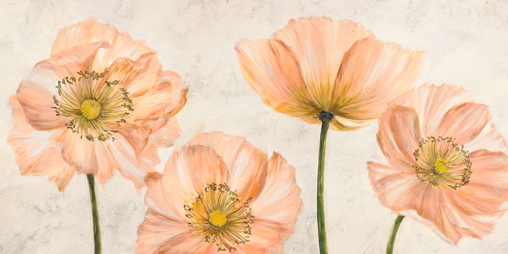 Poppies in Pink art print by Luca Villa for $57.95 CAD