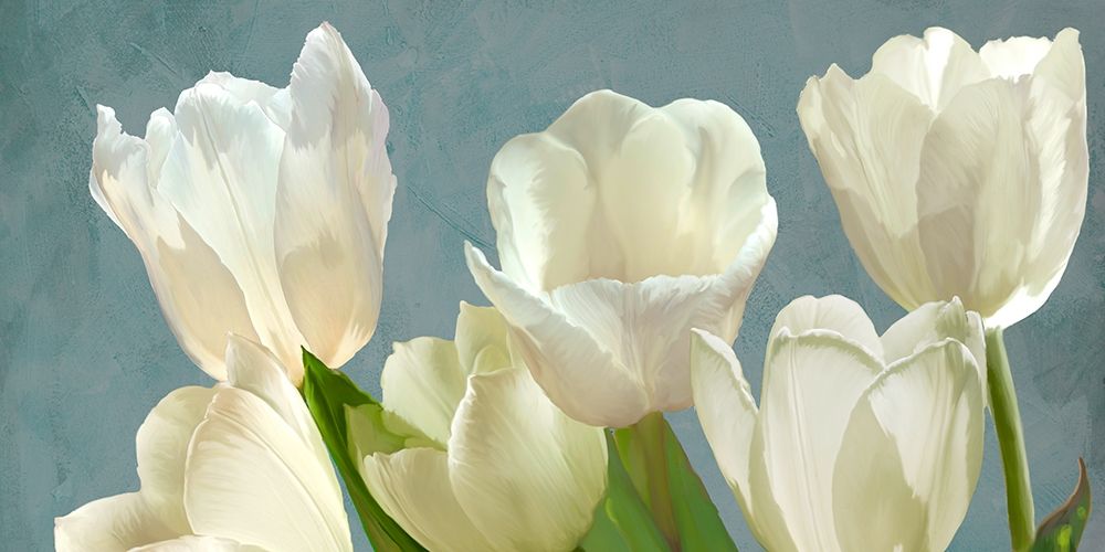 White Tulips on Blue art print by Luca Villa for $57.95 CAD