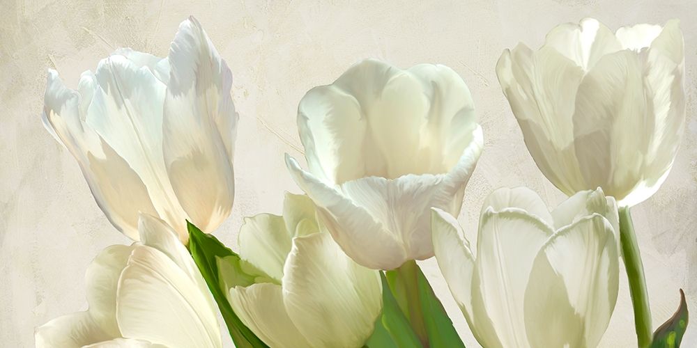 White Tulips (detail) art print by Luca Villa for $57.95 CAD