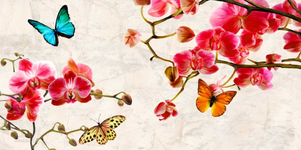 Orchids and Butterflies art print by Teo Rizzardi for $57.95 CAD