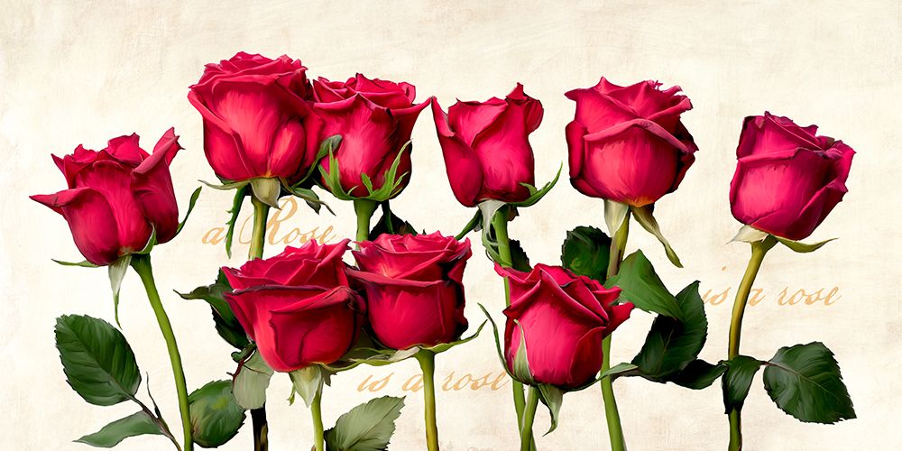 A Rose is a Rose is a Rose art print by Teo Rizzardi for $57.95 CAD