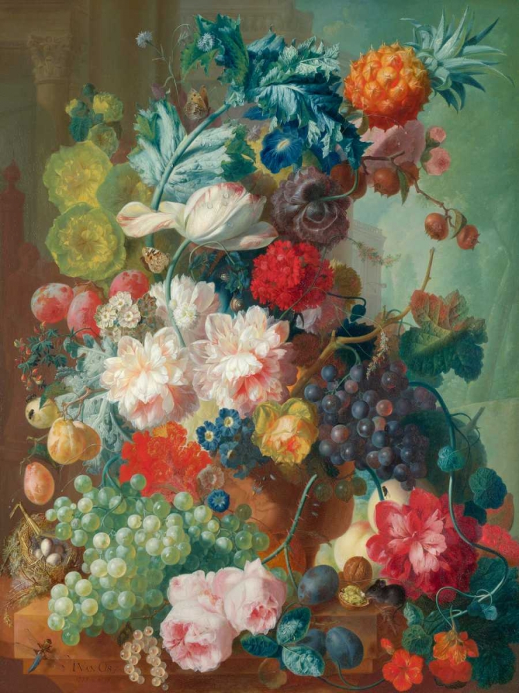Fruit and Flowers in a terracotta Vase art print by Jan Van Os for $57.95 CAD