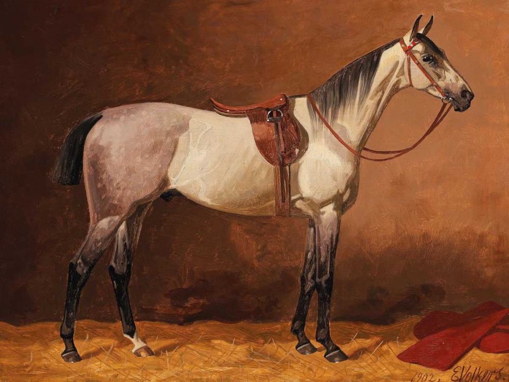 Saddled sport horse art print by Emil Volkers for $57.95 CAD