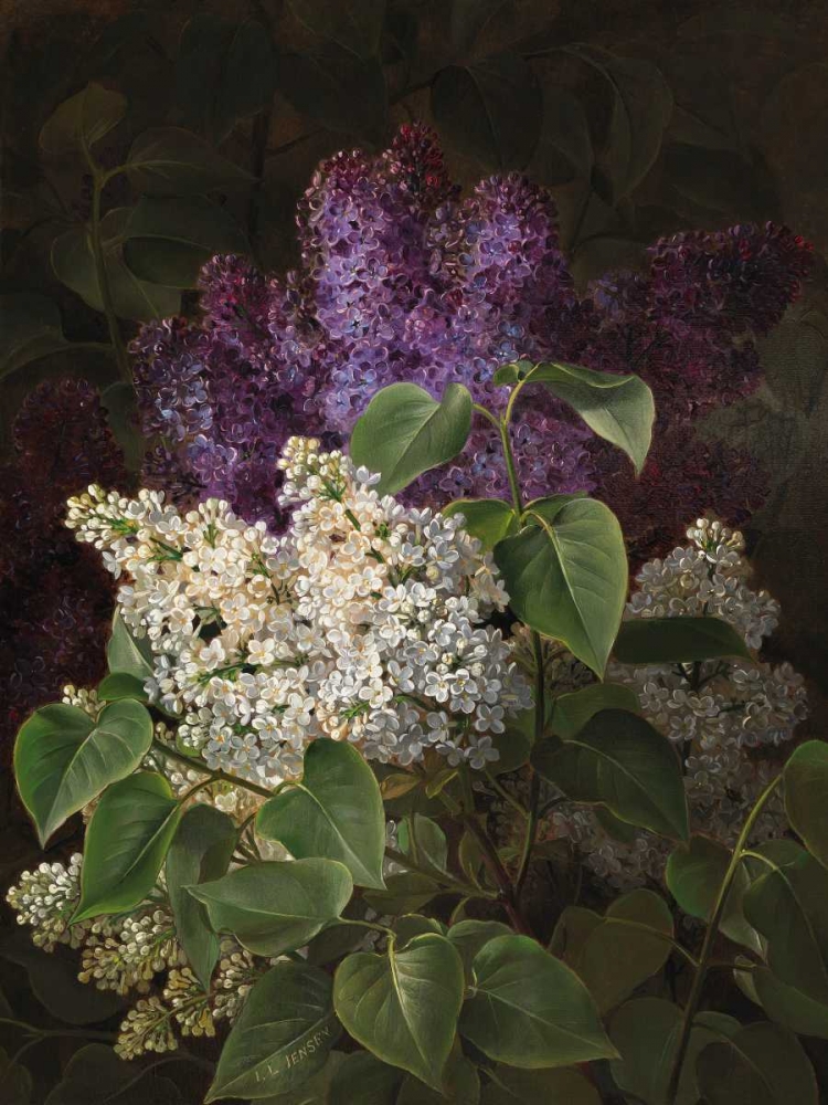 White and violet lilac art print by Johan Laurentz Jensen for $57.95 CAD