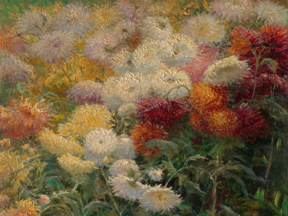 Chrysanthemums in the Garden at Petit-Gennevilliers art print by Gustave Caillebotte for $57.95 CAD