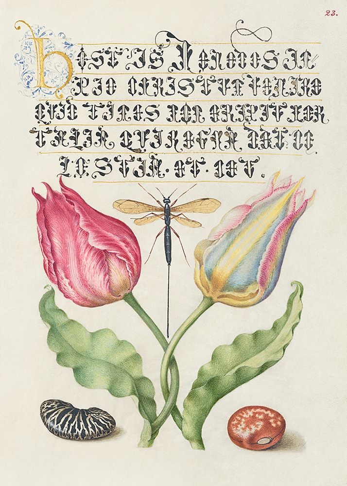 From the Model Book of Calligraphy-I art print by Bocskay Hoefnagel for $57.95 CAD