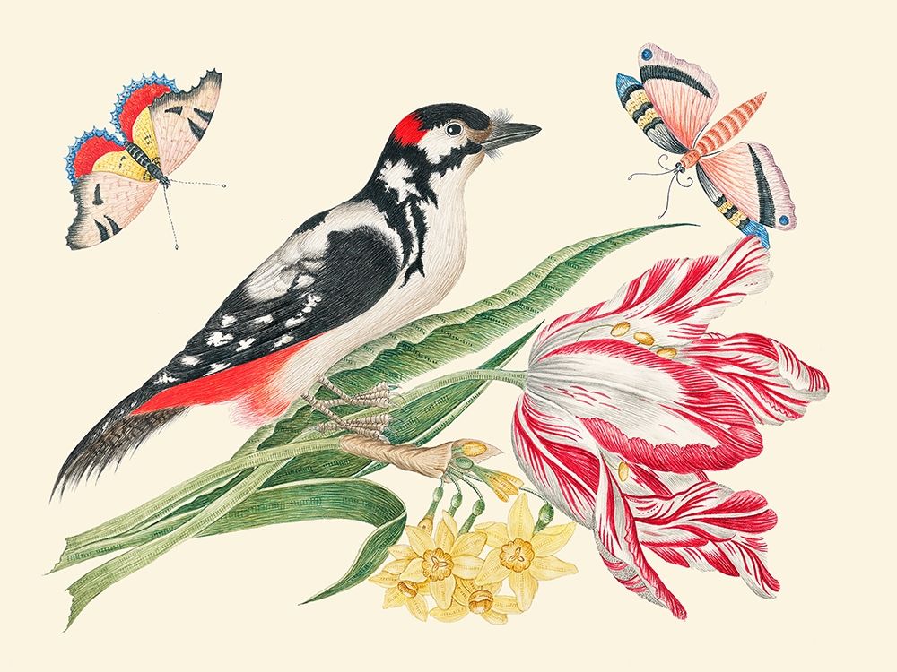 A Bird on Tulip stem with Daffodils art print by Anonymous for $57.95 CAD
