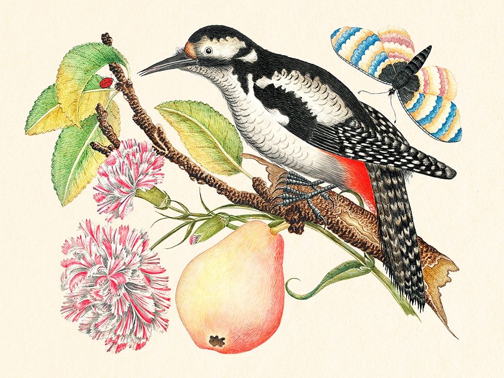 A bird perched on a branch I art print by Anonymous for $57.95 CAD