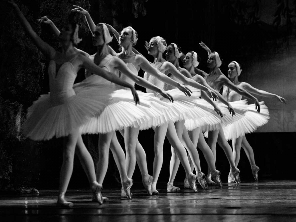 Swan Lake ballet art print by Anonymous for $57.95 CAD
