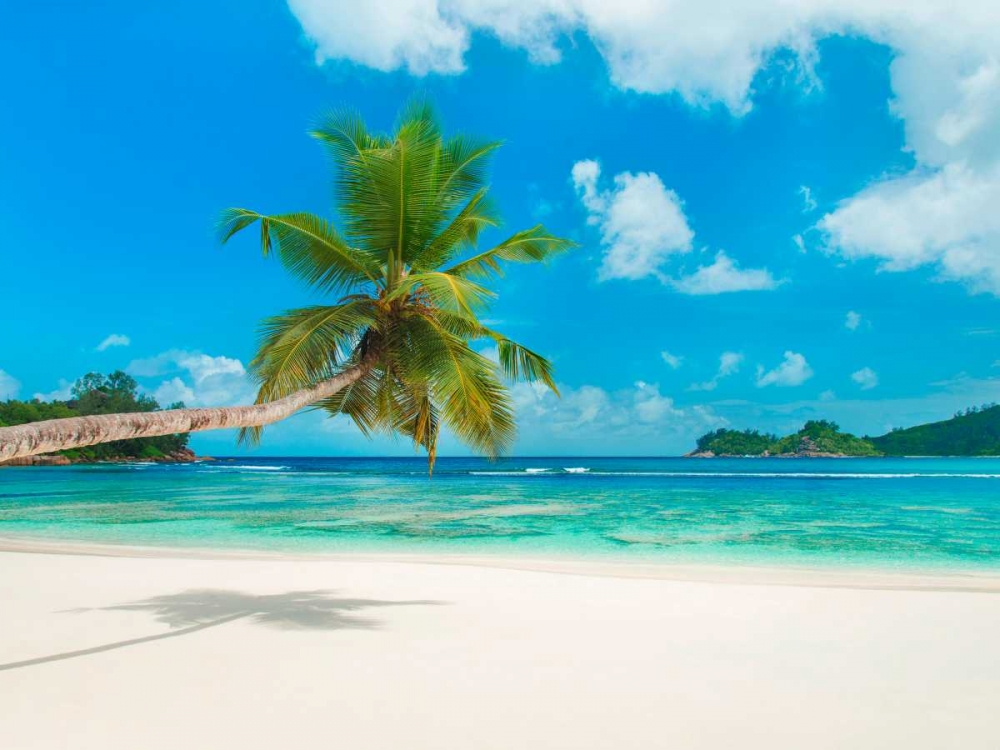 Tropical beach, Seychelles (detail) art print by Anonymous for $57.95 CAD