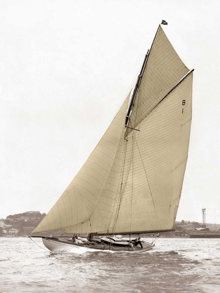 Victorian sloop on Sydney Harbour art print by Anonymous for $57.95 CAD