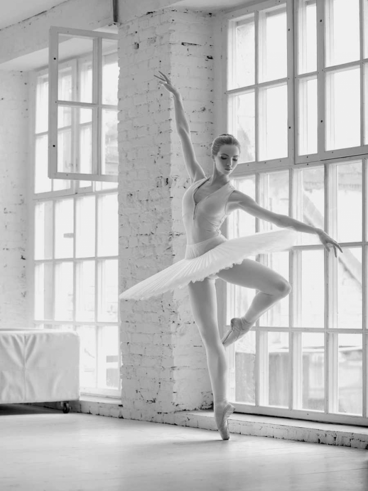 Ballerina Rehearsing art print by Haute Photo Collection for $57.95 CAD