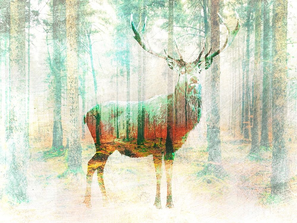 Lord of the Woods art print by Arlo Wren Photos for $57.95 CAD