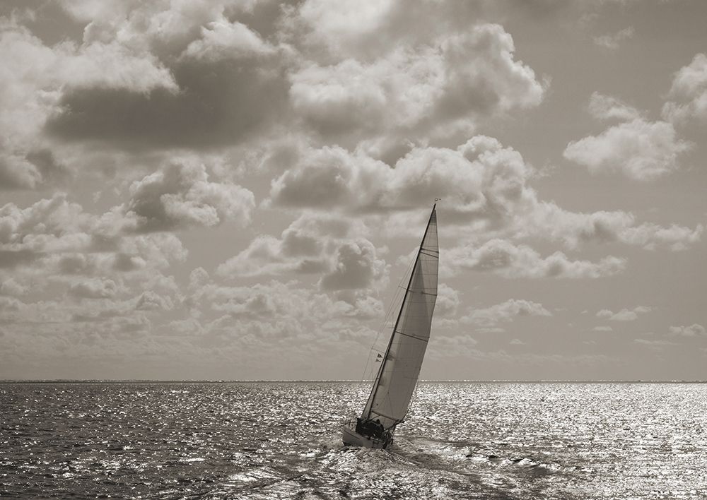 Sailing art print by Pangea Images for $57.95 CAD