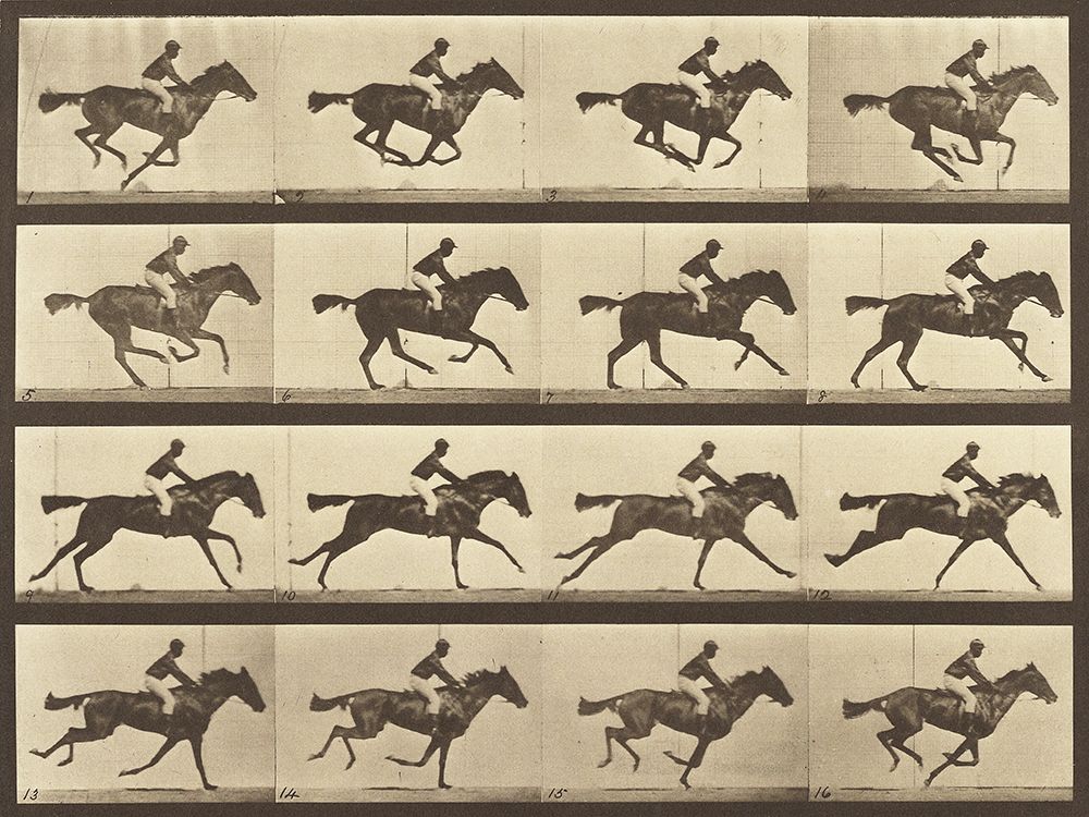 Animal Locomotion: Running Horse art print by Eadweard Muybridge for $57.95 CAD