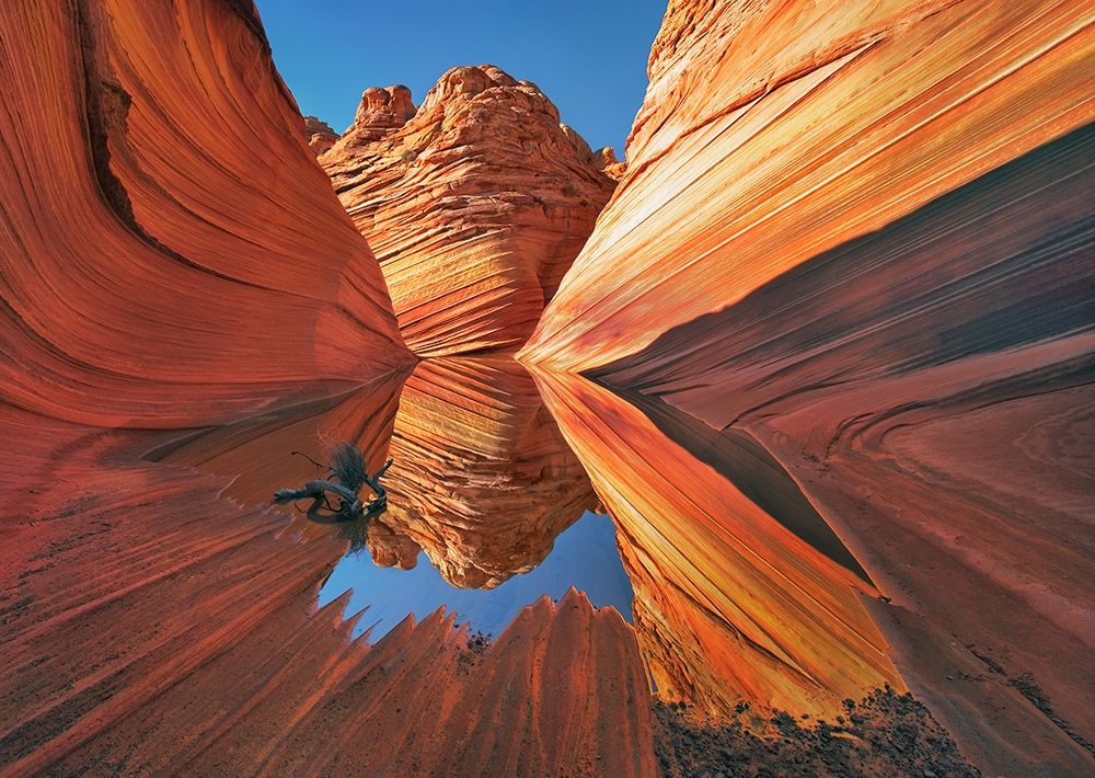 The Wave in Vermillion Cliffs, Arizona art print by Frank Krahmer for $57.95 CAD