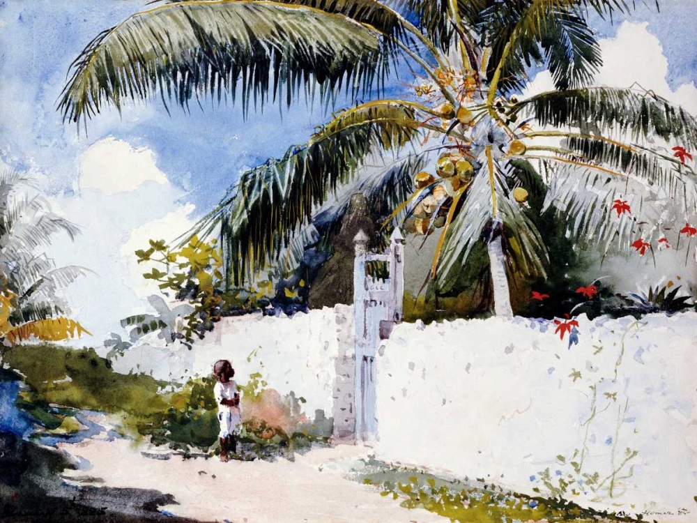 A Garden in Nassau  art print by Winslow Homer for $57.95 CAD