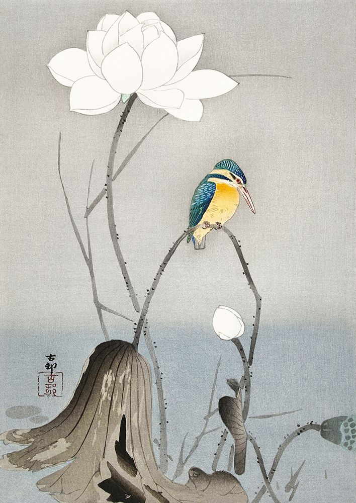 Kingfisher with Lotus Flower art print by Ohara Koson for $57.95 CAD